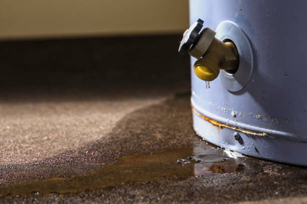 Best 24/7 water damage repair  in Pajaro, CA