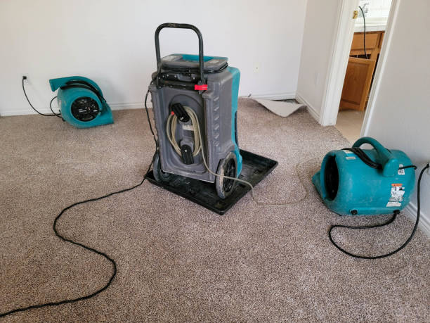 Best 24-hour water damage restoration  in Pajaro, CA