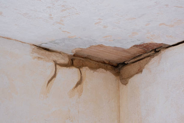 Best Basement water damage restoration  in Pajaro, CA