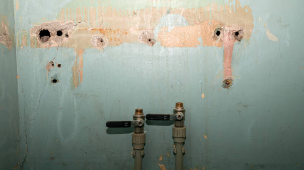 Best Commercial water damage restoration  in Pajaro, CA