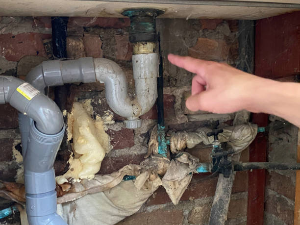 Best Water damage contractors near me  in Pajaro, CA